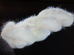 IMG_0295.JPGのサムネール画像