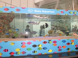 IMG_0122.JPGのサムネール画像