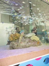 IMG_0124.JPGのサムネール画像