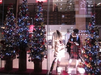 IMG_0343.JPGのサムネール画像のサムネール画像