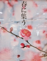 IMG_0431.JPGのサムネール画像