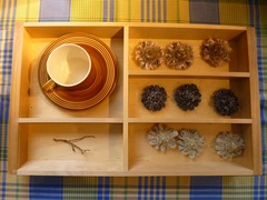 10051506.jpgのサムネール画像