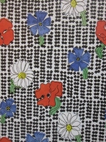 IMG_1165.JPGのサムネール画像