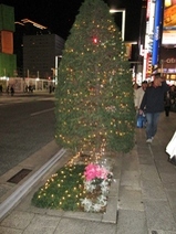 IMG_1458.JPGのサムネール画像のサムネール画像