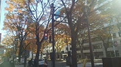 10_1116_1.jpgのサムネール画像