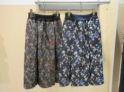 11030202.JPGのサムネール画像