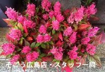 0710035.jpgのサムネール画像