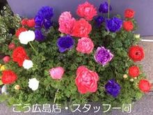 0702155.jpgのサムネール画像