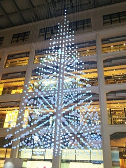 0212251.jpgのサムネール画像