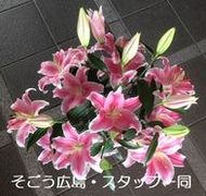 0705305.jpgのサムネール画像