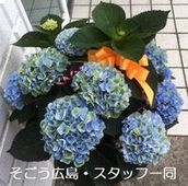 0706215.jpgのサムネール画像