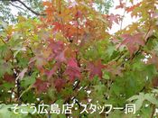 0710095.jpgのサムネール画像